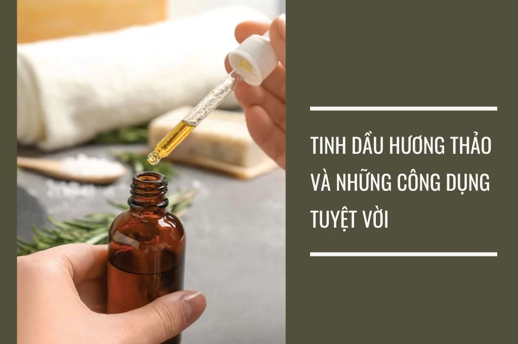 herbal tea, lasetee, tra thao moc, tra hoa, tra hoa hong, tra thao duoc, tra qua tang, qua tang, tra thia canh