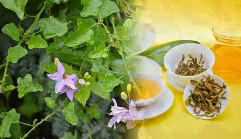 herbal tea, lasetee, tra thao moc, tra hoa, tra hoa hong, tra thao duoc, tra qua tang, qua tang, tra thia canh